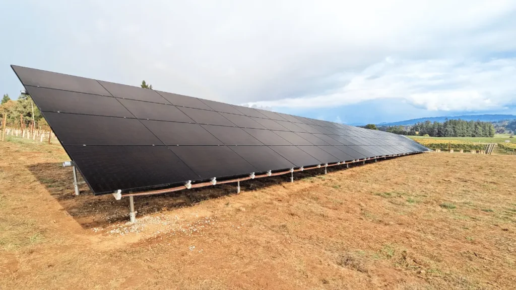 Solar panels for winery and vineyard in Cornelius, Oregon
