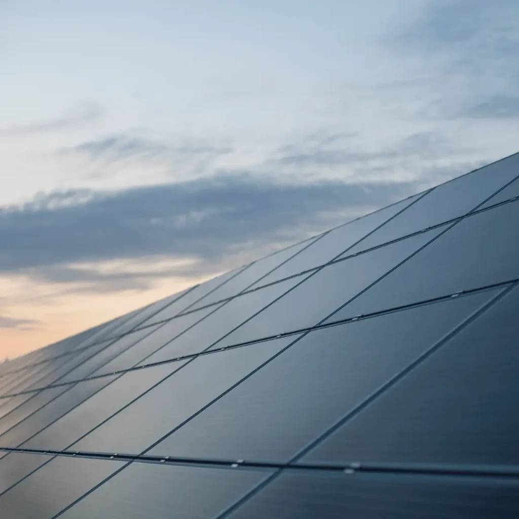 Black on Black Solar Panels Ground Mount