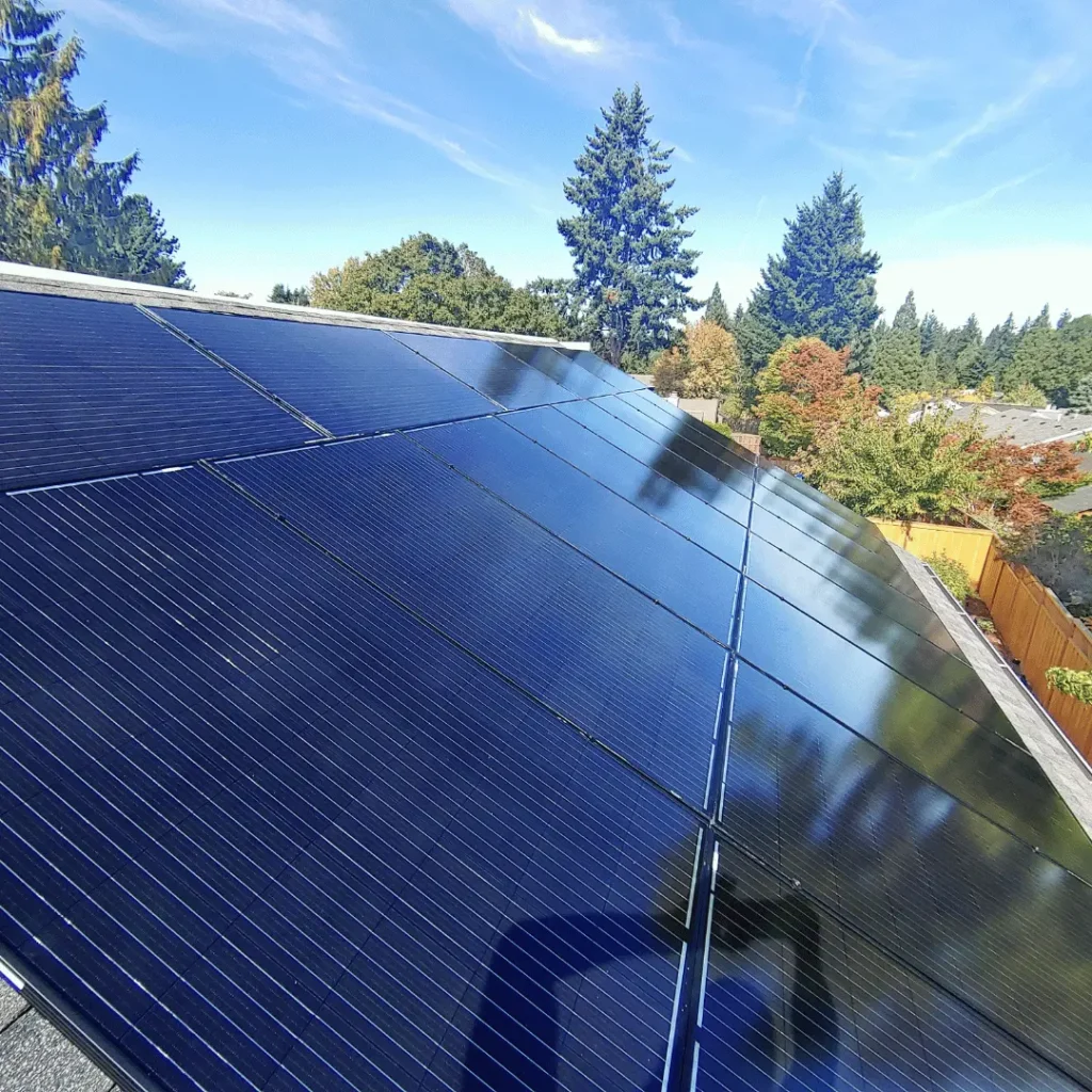 Black on Black Solar Panels on Roof